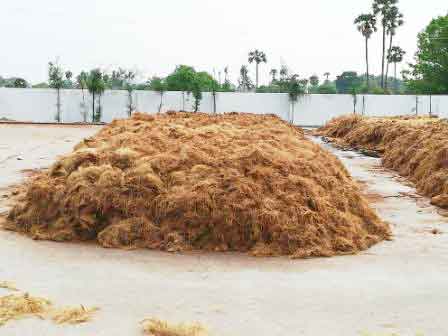 Sri Jayanthi Coirs Brochure